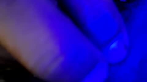 horse_show online show from November 1, 2:15 am