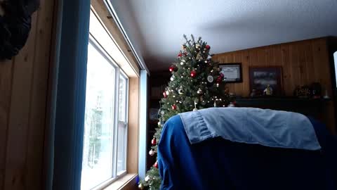 Snapshot of horsebigballs chatting on January 17, 7:31 pm horsebigballs online show from January 17, 7:31 pm