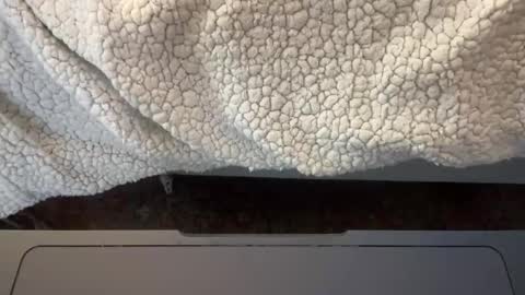 AARON online show from April 16, 12:49 pm