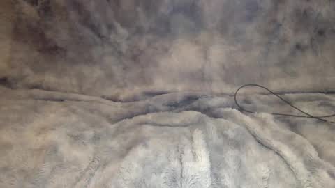 Hunkhog online show from November 22, 3:55 pm