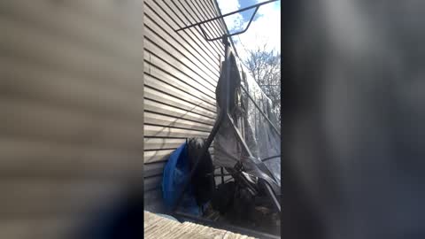 HyperGiant online show from February 21, 2:40 pm