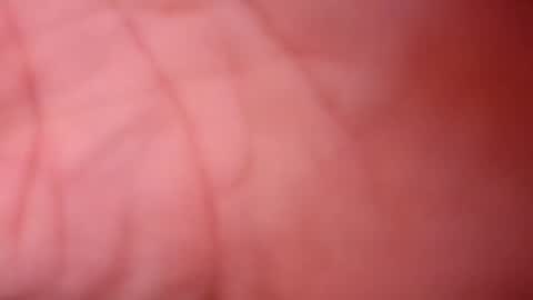 icyfucktoy online show from December 5, 2:31 am