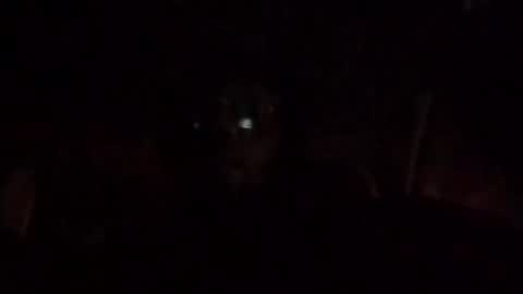 ihktqjtwzczh online show from February 15, 6:30 am