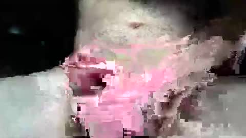 ikemike608aol online show from December 14, 8:16 pm