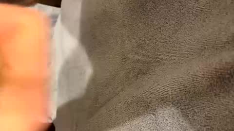 iltjoal69 online show from March 5, 10:33 am