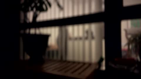 imlightskn online show from February 24, 8:06 am