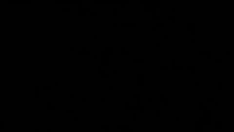 iridisit online show from April 12, 8:49 am