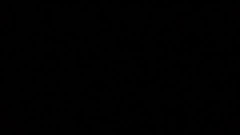 iridisit online show from January 12, 4:16 am