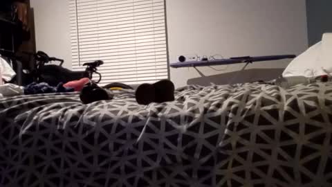 jaidenblake online show from January 11, 8:00 am