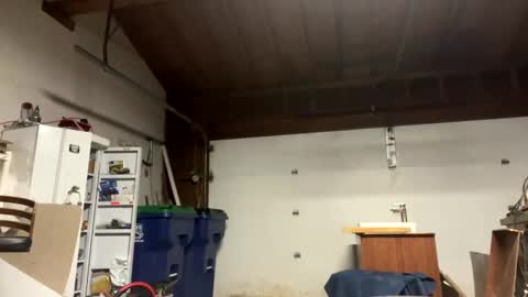 Snapshot of jawssharkparty chatting on January 9, 7:31 am Jaws online show from January 9, 7:31 am