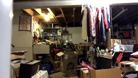 Jaws  online show from November 10, 7:52 pm