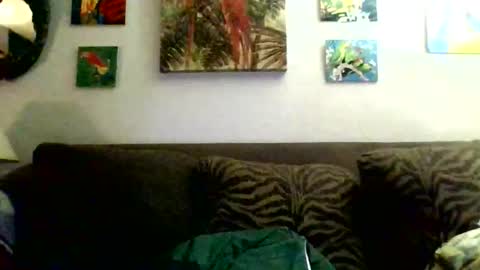 jay-jay1475 online show from November 9, 11:42 pm