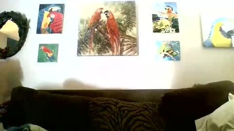 jay-jay1475 online show from December 13, 6:38 pm