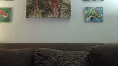 jay-jay1475 online show from January 22, 6:10 pm