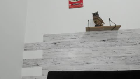 Jaycreedd online show from November 26, 4:15 am