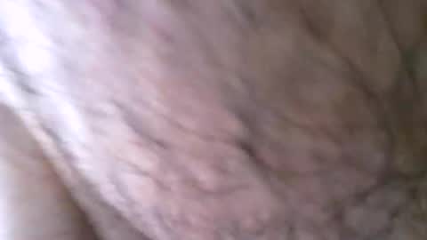 Snapshot of jcadx69 chatting on October 16, 12:24 pm jcadx69 online show from October 16, 12:24 pm