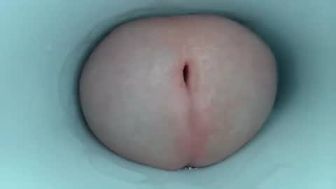 jeffrodgerschaturbat online show from April 24, 3:31 am