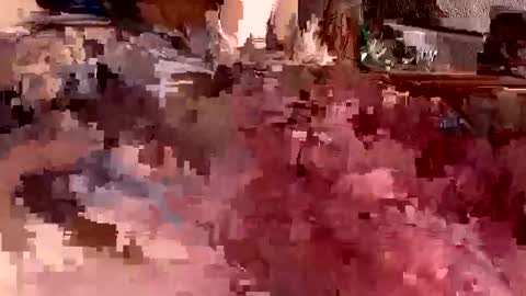 jeffwithoutmutt online show from November 4, 9:27 pm