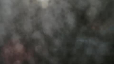 Jhon wich2 online show from February 10, 5:30 pm