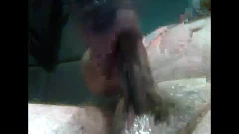 jimboluv488 online show from December 31, 1:47 am