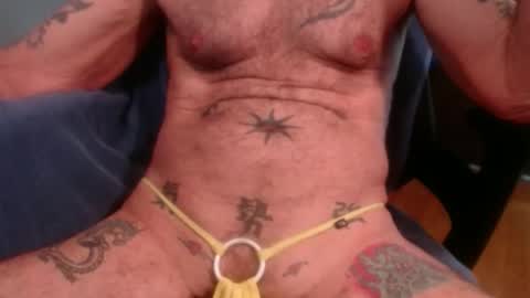 cock model  bathing suit model online show from December 1, 9:29 pm