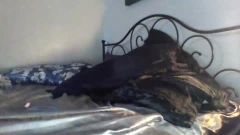 Jimz14u online show from November 26, 1:08 am