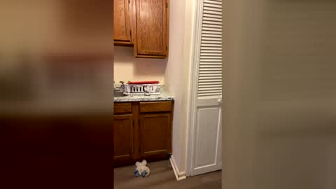 jnick513 online show from February 22, 6:09 pm