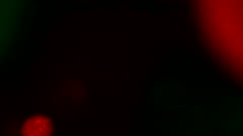 BOOBSLOVER online show from May 29, 10:09 pm