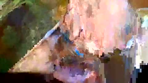 joedunbar61 online show from January 11, 12:04 am