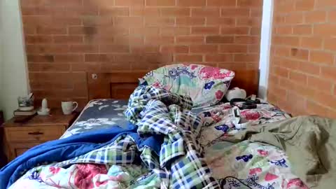 johan70nsexy online show from April 10, 12:34 pm