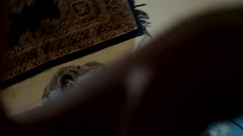 johncockhot online show from February 10, 7:28 pm