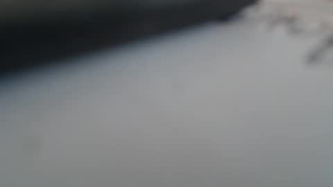 johnnyssunshine online show from October 25, 2:41 pm