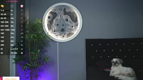 Jordan online show from April 20, 9:12 am