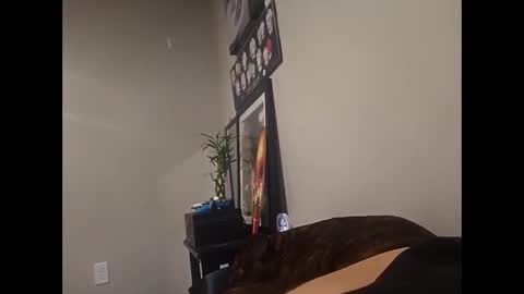 joshinterchecks online show from April 22, 6:56 pm