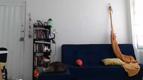 JUANISIMO  online show from January 17, 2:07 pm