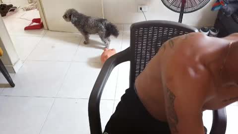 Junior Top online show from April 10, 9:00 pm