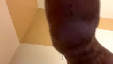 junosphboi online show from March 3, 5:26 am