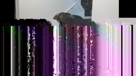 justintym69 online show from October 20, 7:40 pm