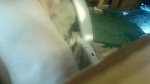 Snapshot of justme42c chatting on January 9, 6:04 pm justme42c online show from January 9, 6:04 pm