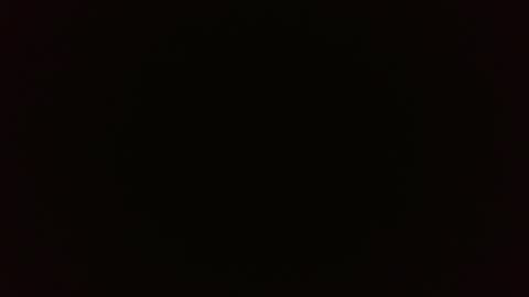 Wolf online show from February 26, 3:52 pm