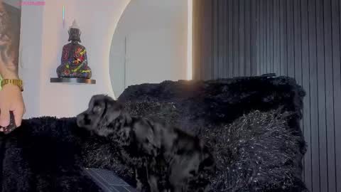   online show from February 1, 11:03 pm