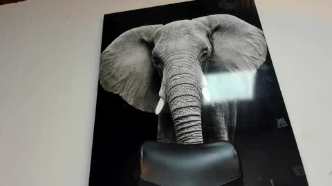 Angel Falconer online show from October 29, 3:20 am