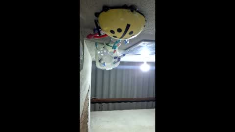 kingleo2205 online show from February 2, 9:56 pm