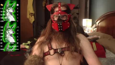 kinkywolf87 online show from July 25, 5:54 pm