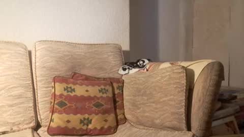 kokworshipper online show from December 8, 3:45 pm