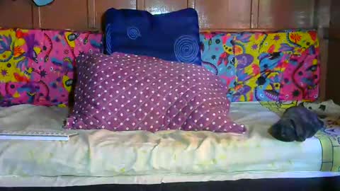 SEX  MASTER online show from February 23, 12:32 pm