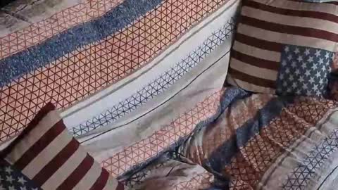 Segaiolo..... online show from April 30, 6:53 am