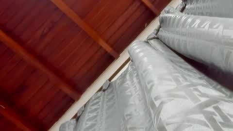 LevySteven online show from January 6, 5:52 am