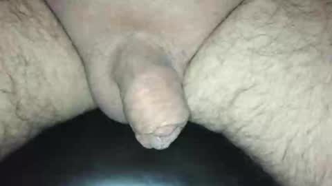 littlestick online show from November 17, 9:45 am