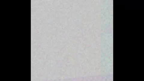 Litz online show from February 6, 12:57 pm